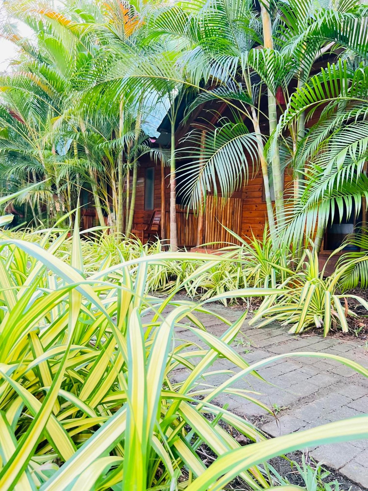 Sasvi Cabana Trincomalee Exteriér fotografie