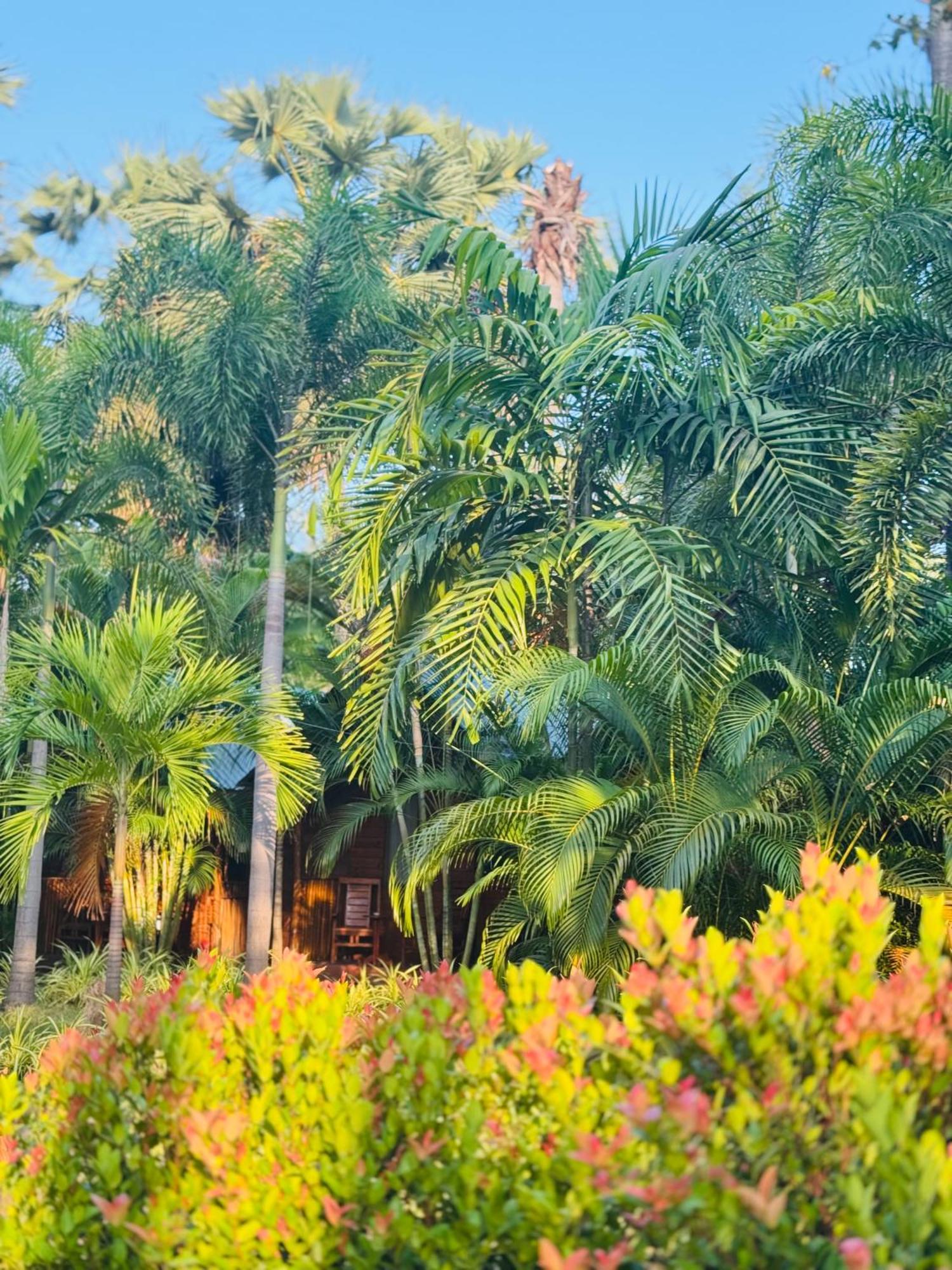 Sasvi Cabana Trincomalee Exteriér fotografie